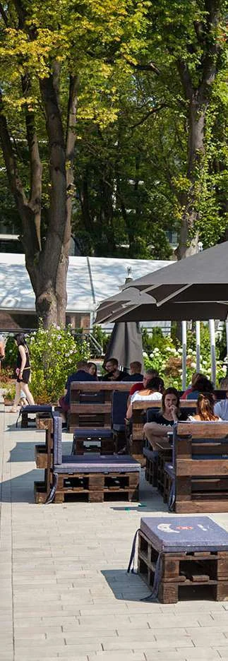 Taras Błonia Bistro w otoczeniu zieleni